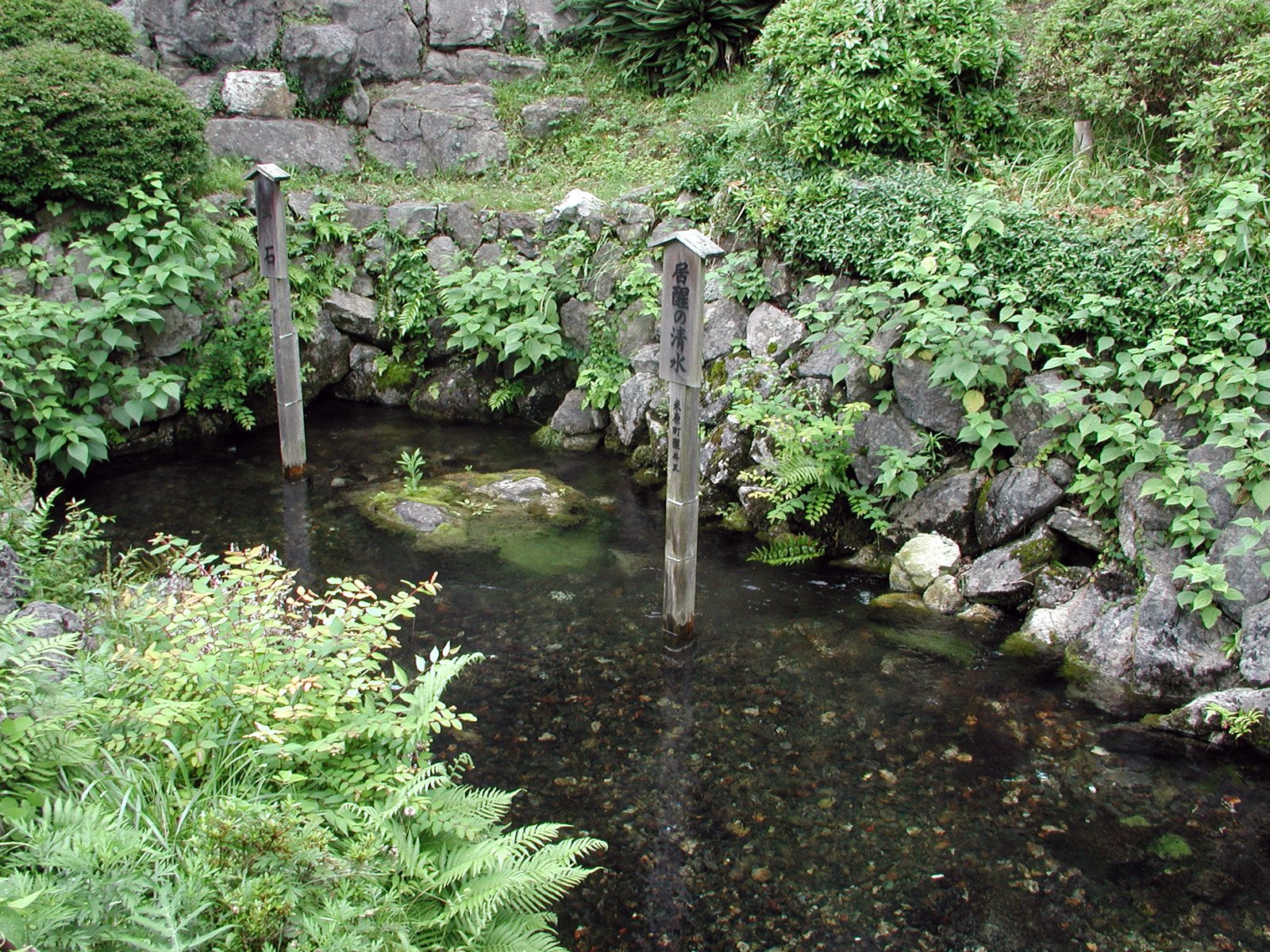 🏞️ 이사메노시미즈 (깨어나는 샘) 이미지 4